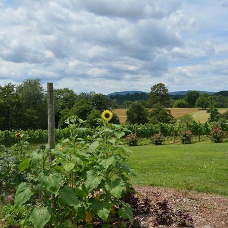Woodville Bed And Breakfast Esmont Esterno foto