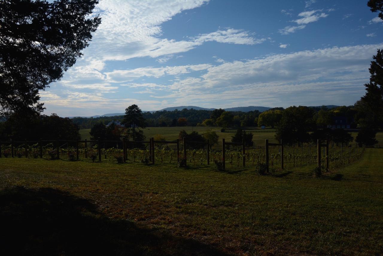 Woodville Bed And Breakfast Esmont Esterno foto